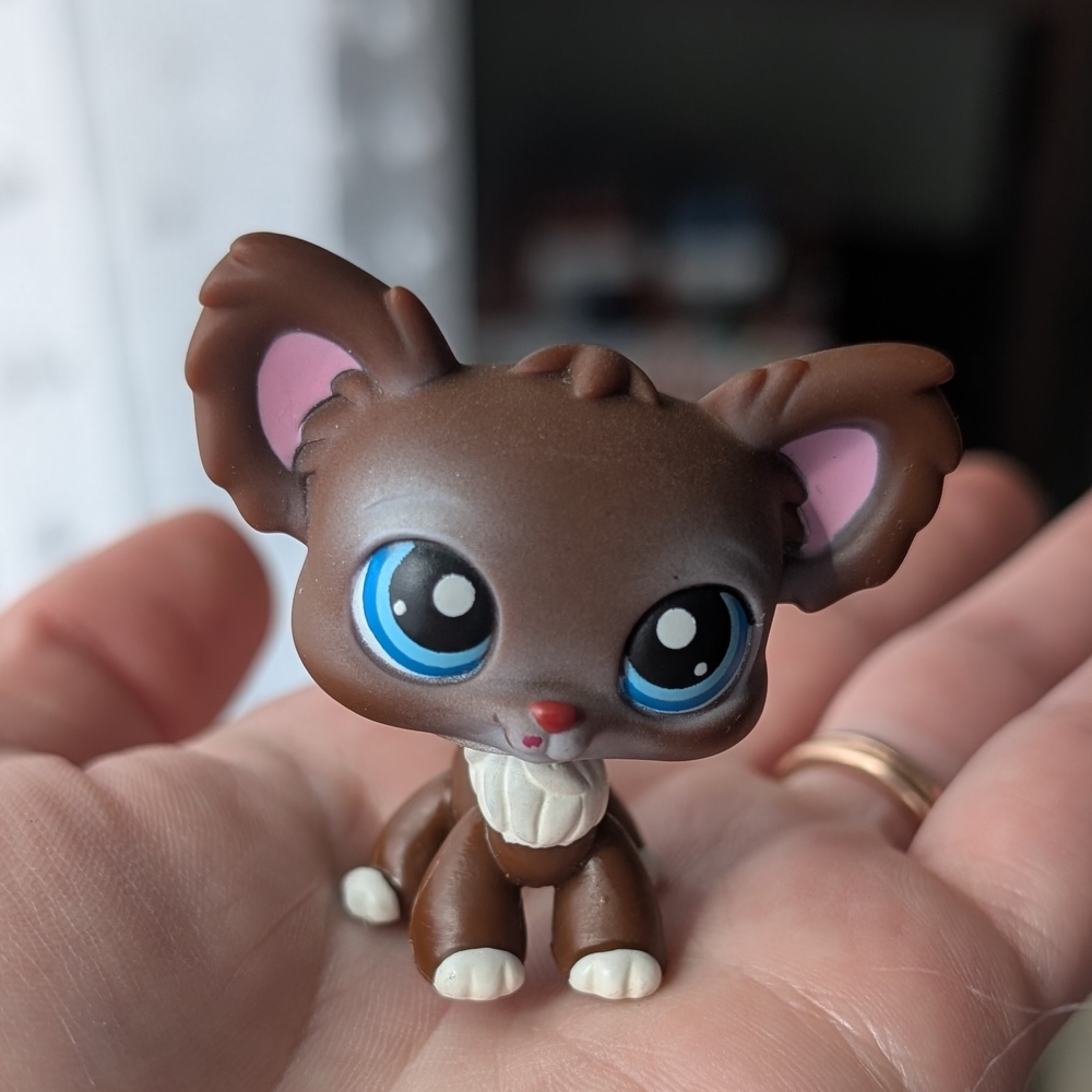 LPS #219 Chihuahua chocolate brown with blue eyes 